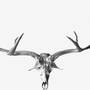 luther_antlers.jpg